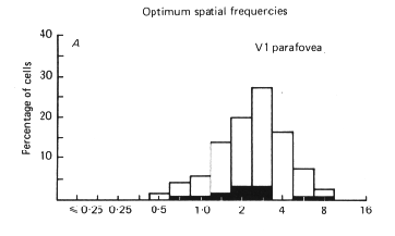 \includegraphics[width=8 cm]{grafiken/of_verteilung_foster_v1}